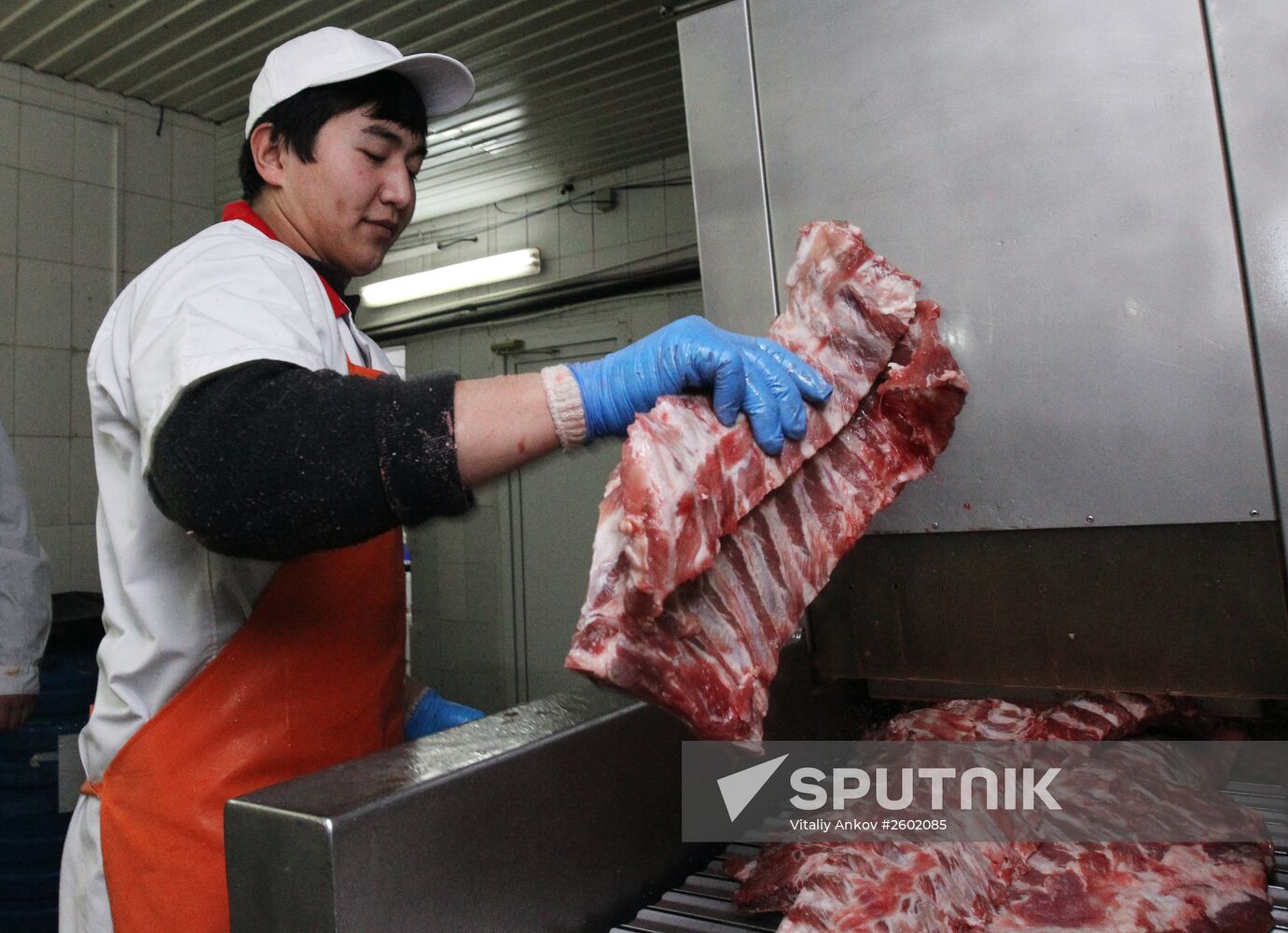 Meat production in Primorsky Territory