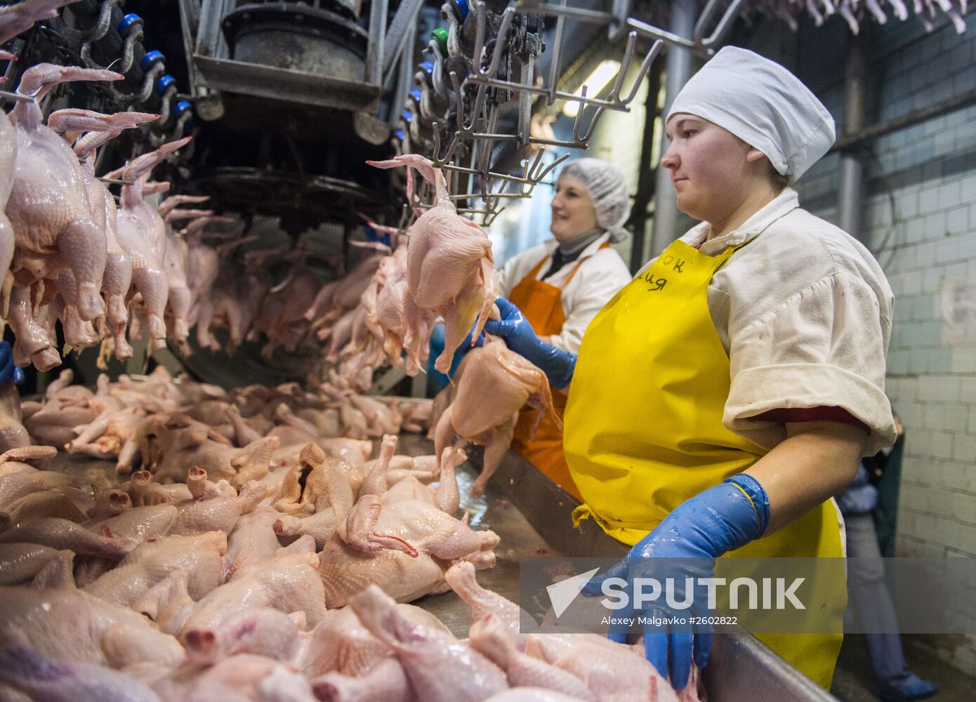 Sibirskaya poultry plant in Omsk