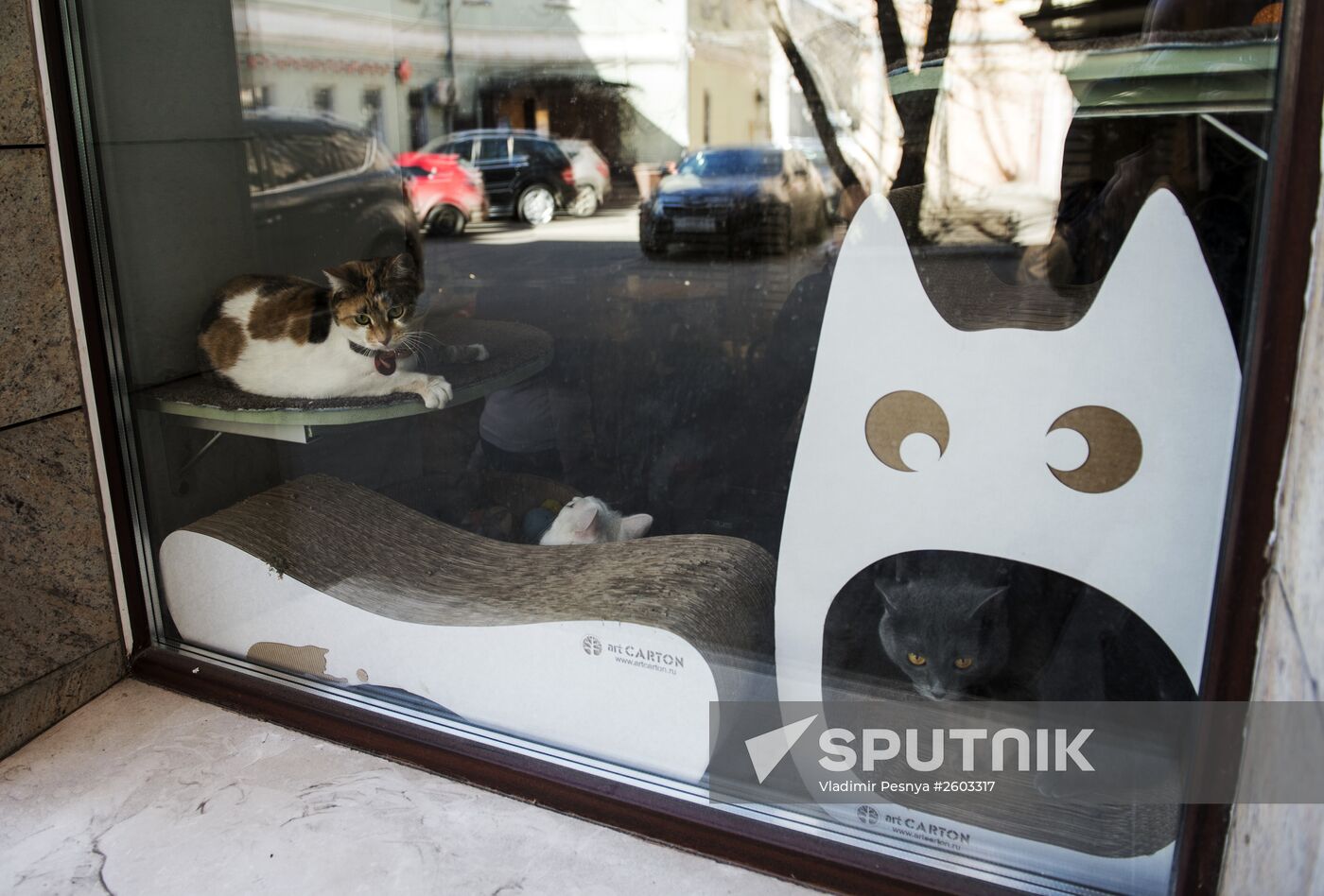 Catcafe "Cats and People"