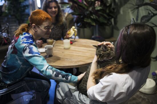 Catcafe "Cats and People"