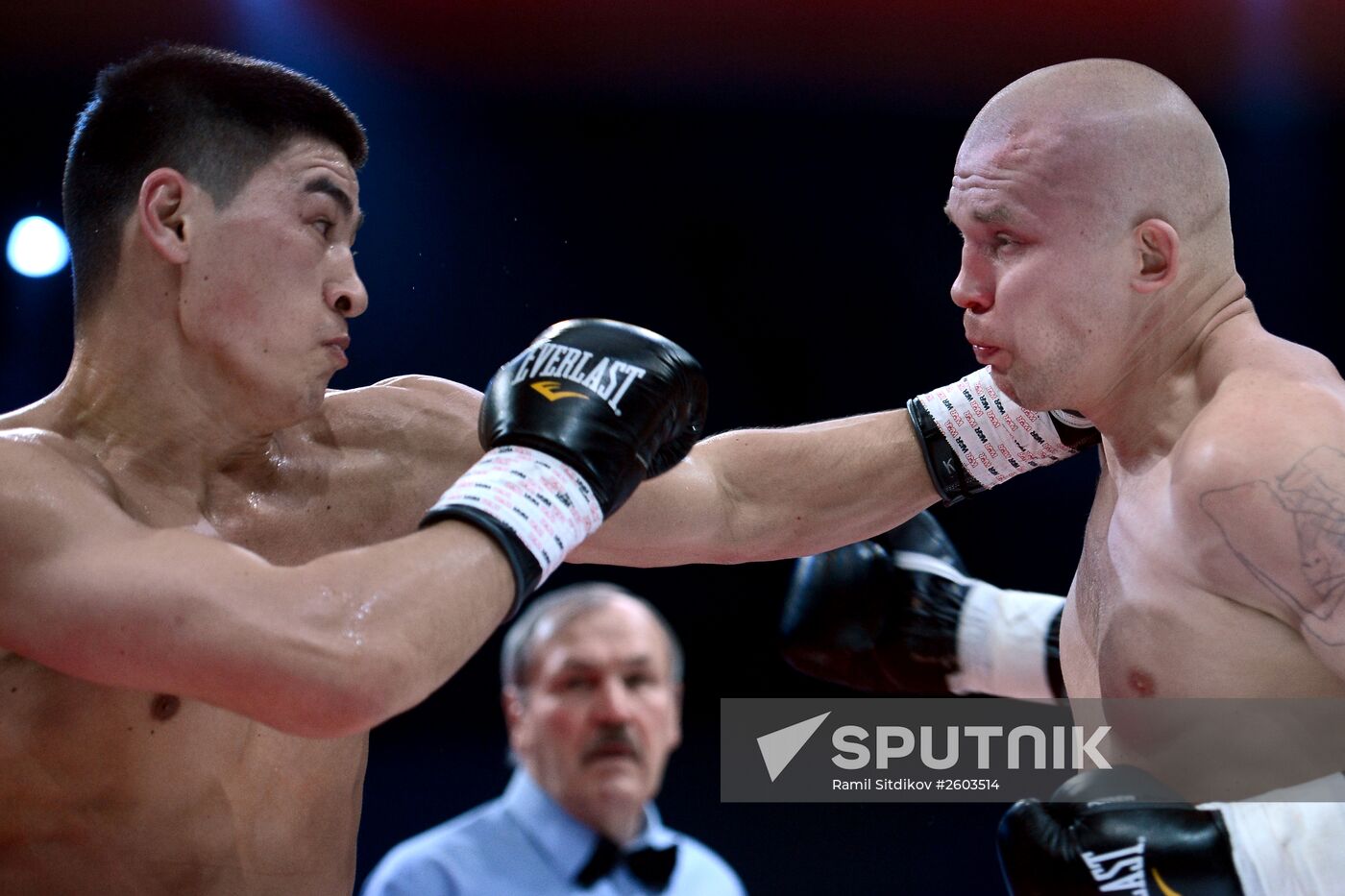 Boxing. Denis Lebedev vs. Youri Kalenga