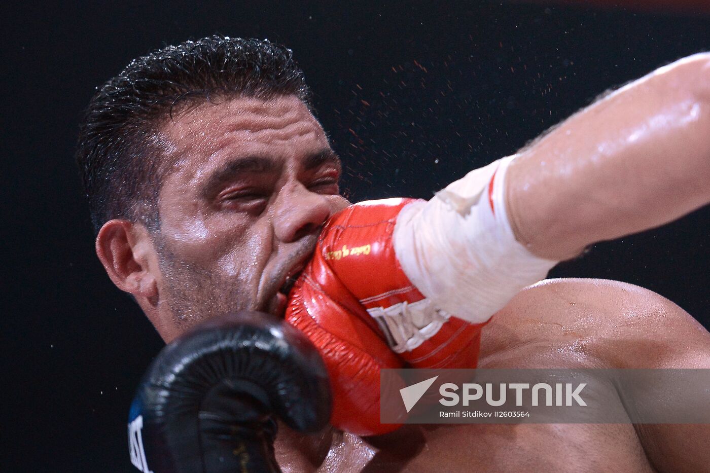 Boxing. Denis Lebedev vs. Youri Kalenga