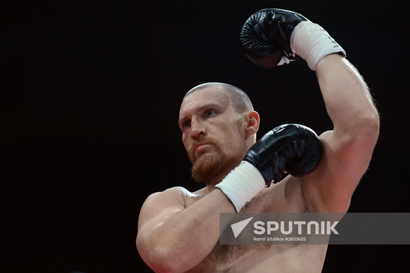 Boxing. Denis Lebedev vs. Youri Kalenga