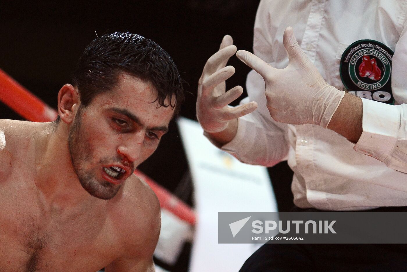 Boxing. Denis Lebedev vs. Youri Kalenga