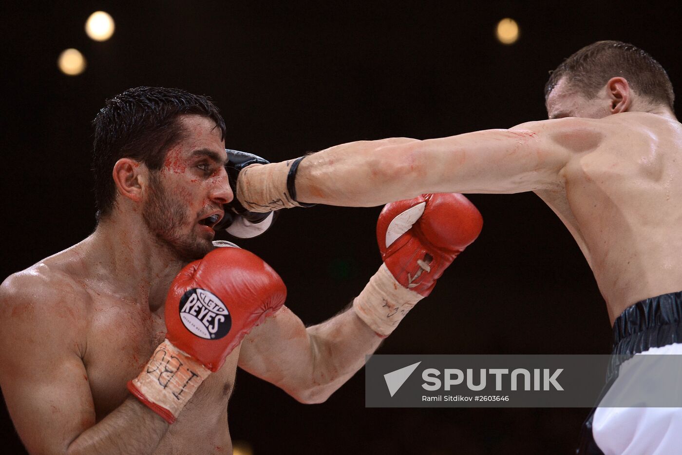 Boxing. Denis Lebedev vs. Youri Kalenga