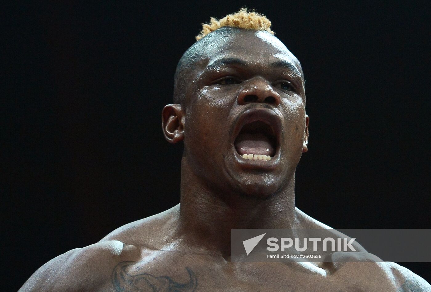 Boxing. Denis Lebedev vs. Youri Kalenga