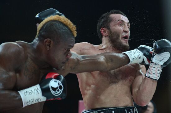 Boxing. Denis Lebedev vs. Youri Kalenga