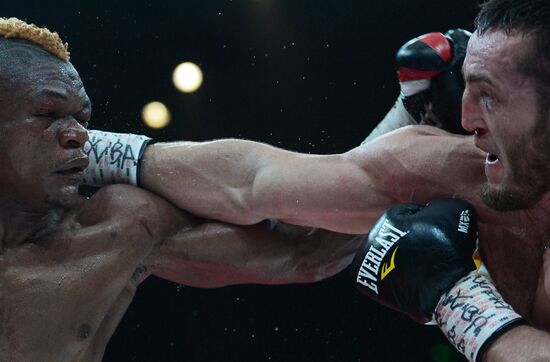 Boxing. Denis Lebedev vs. Youri Kalenga