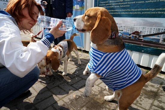 Hereing Day celebrated in Kaliningrad
