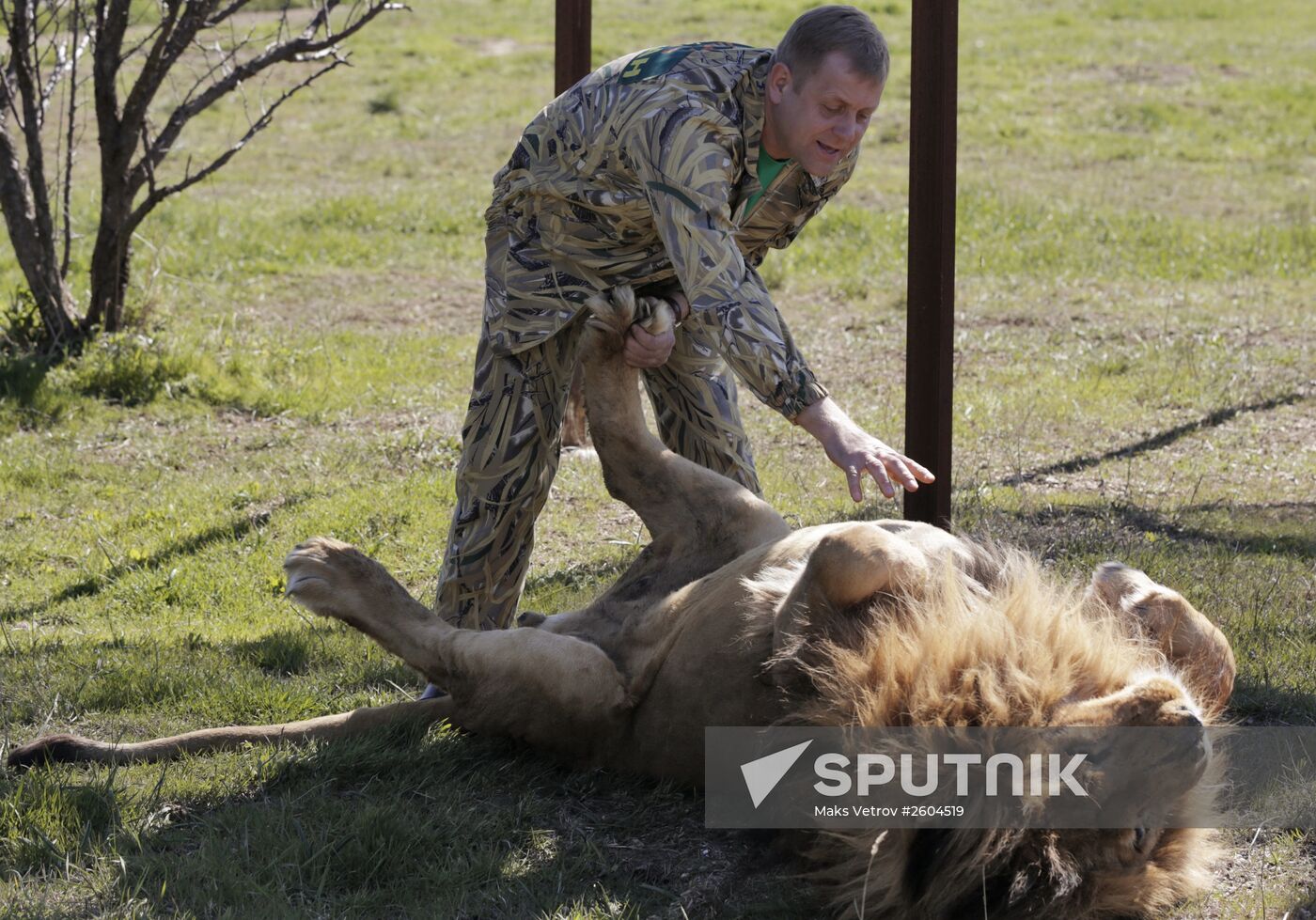 The Taigan Lion Safari Park in Crimea