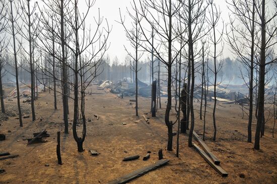 Fires in Zabaykalsky Krai