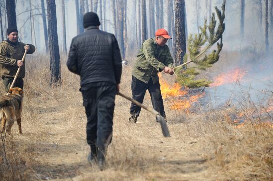 Fires in Zabaykalsky Krai