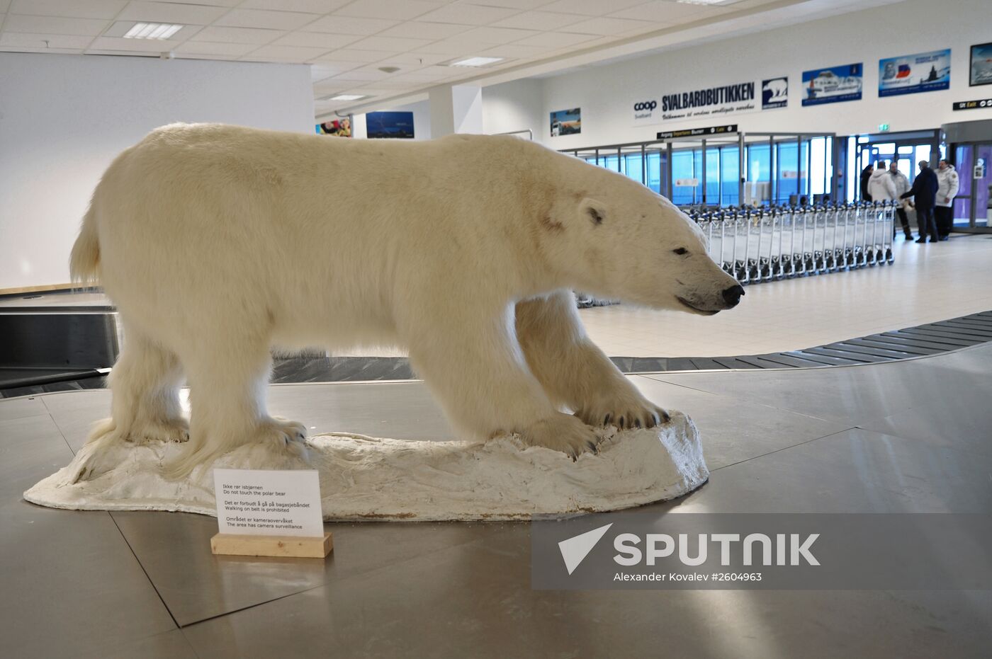 High-latitude expedition to Spitsbergen (Svalbard) under Arctic-2015 project