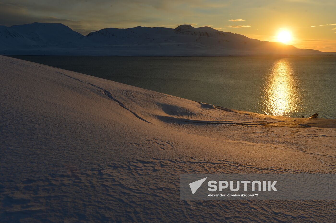 High-latitude expedition to Spitsbergen (Svalbard) under Arctic-2015 project