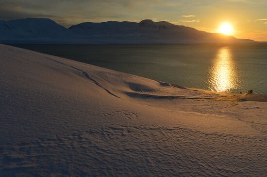 High-latitude expedition to Spitsbergen (Svalbard) under Arctic-2015 project