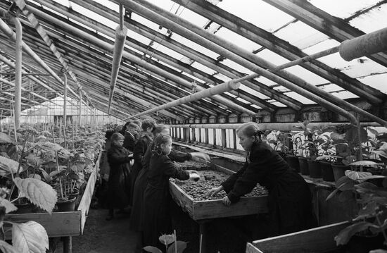School greenhouse