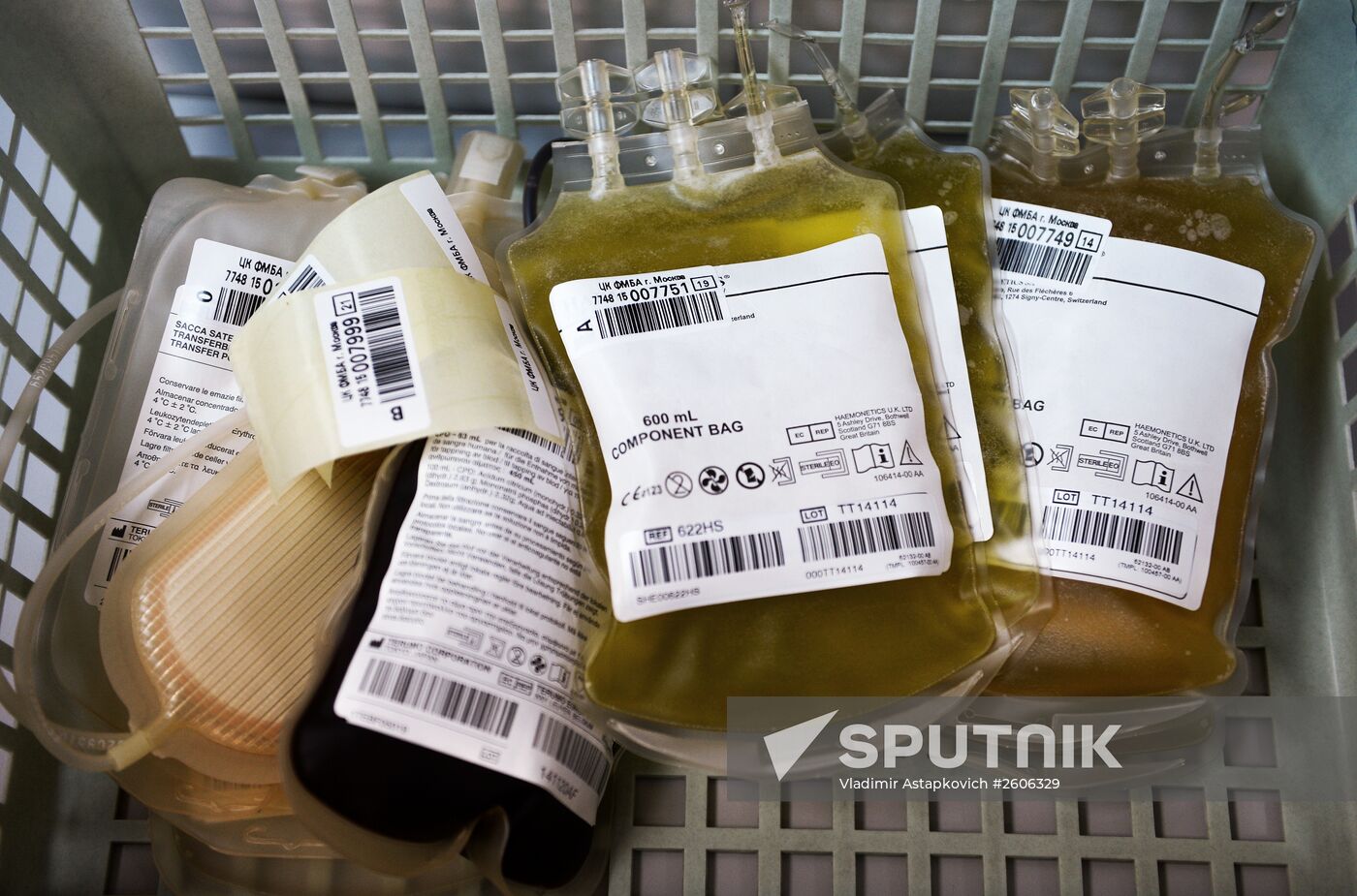 Blood Transfusion Center of Federal Medical-Biological Agency