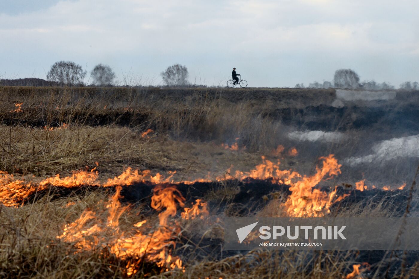 Grass fires in Novosibirsk Region