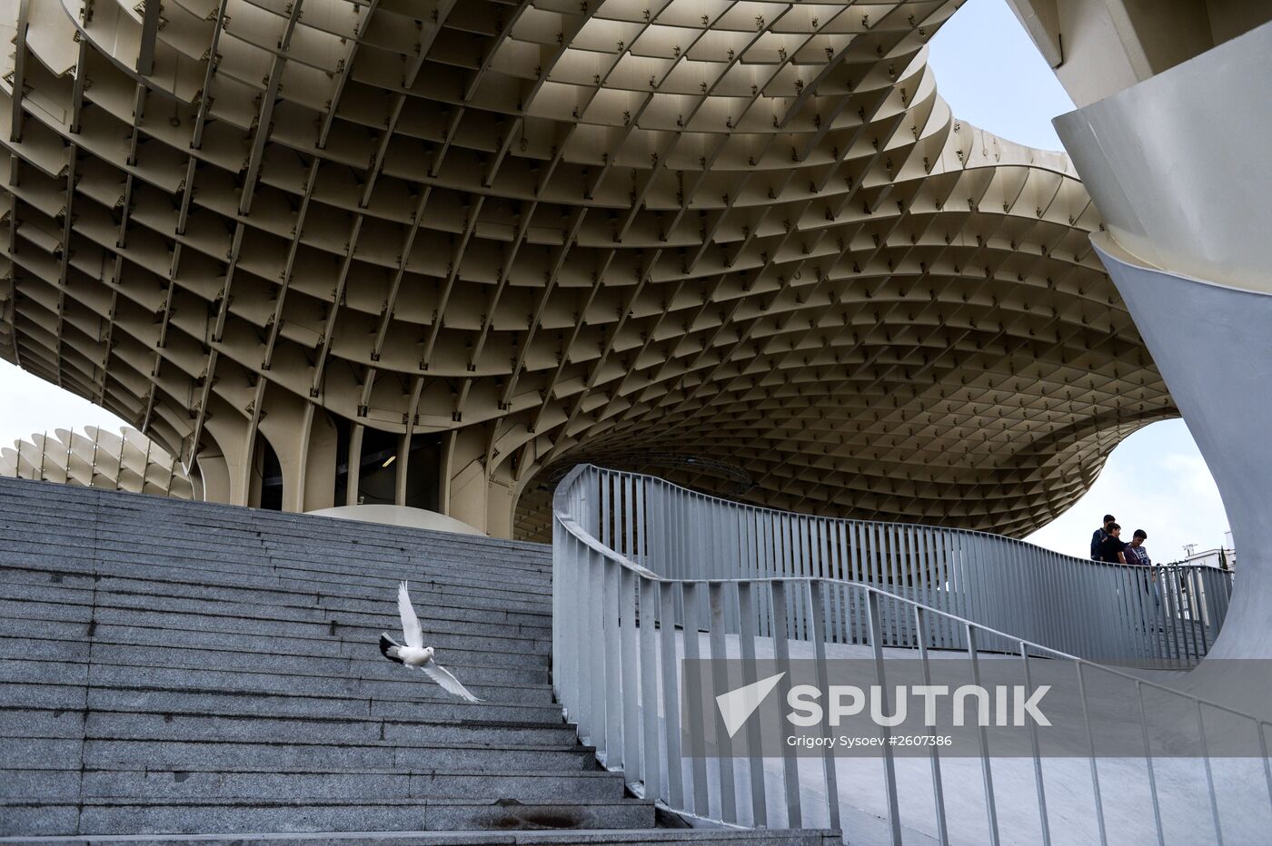 Cities of the world. Seville