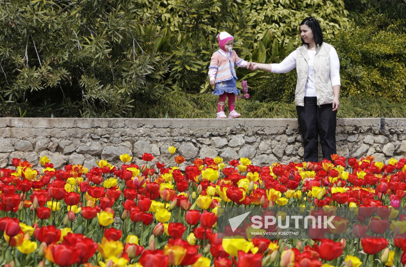 Parade of Tulips in the Nikitsky Botanical Gardens