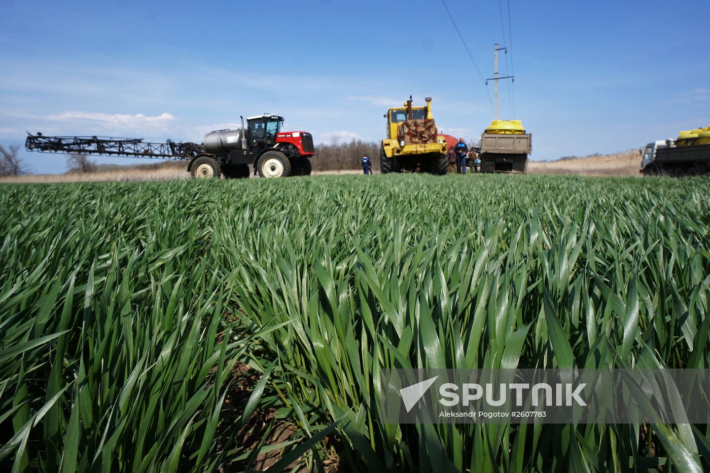 Spring field work in Rostov region