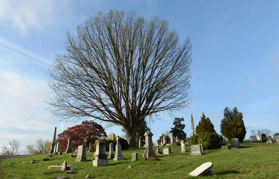 Cities of the world. Washington