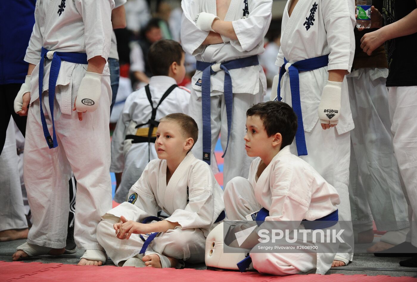 Martial arts competition in Rostov-on-Don