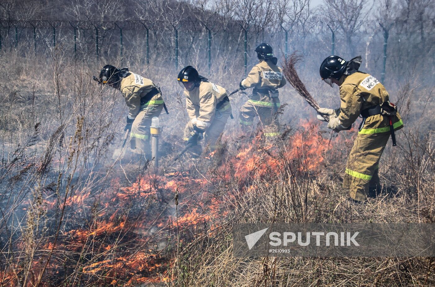 Emergencies Ministry holds forest fire prevention exercises in Far East