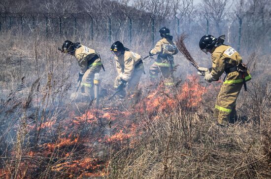 Emergencies Ministry holds forest fire prevention exercises in Far East