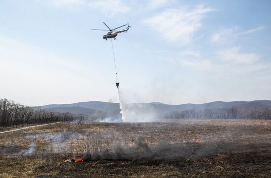 Emergencies Ministry holds forest fire prevention exercises in Far East