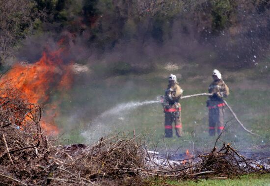 Forest fire extinguishing exercises near Sevastopol