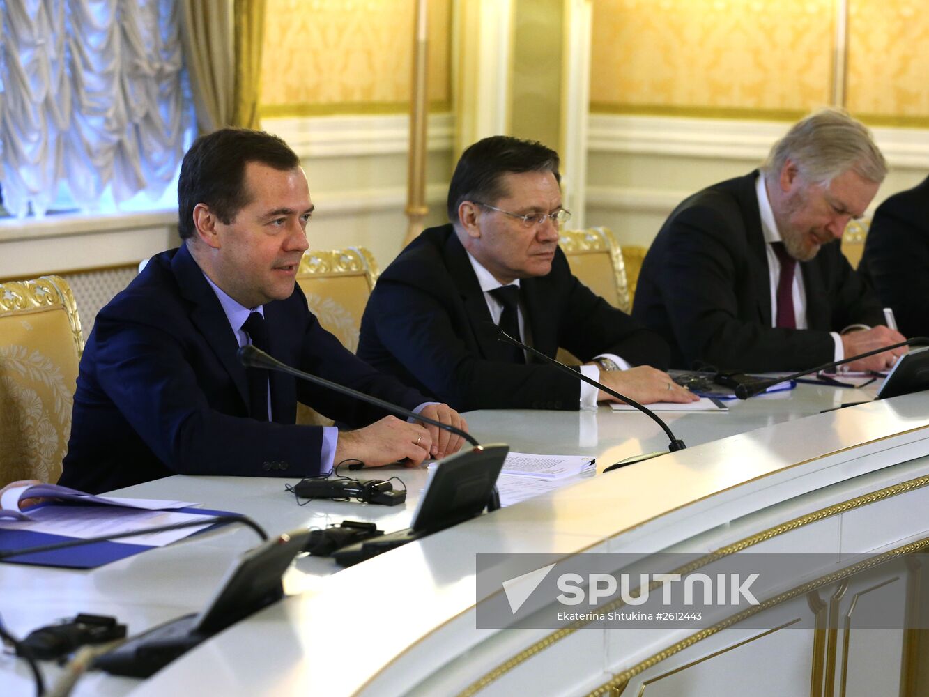Dmitry Medvedev meets with Vice President of Cuba's Council of Ministers
