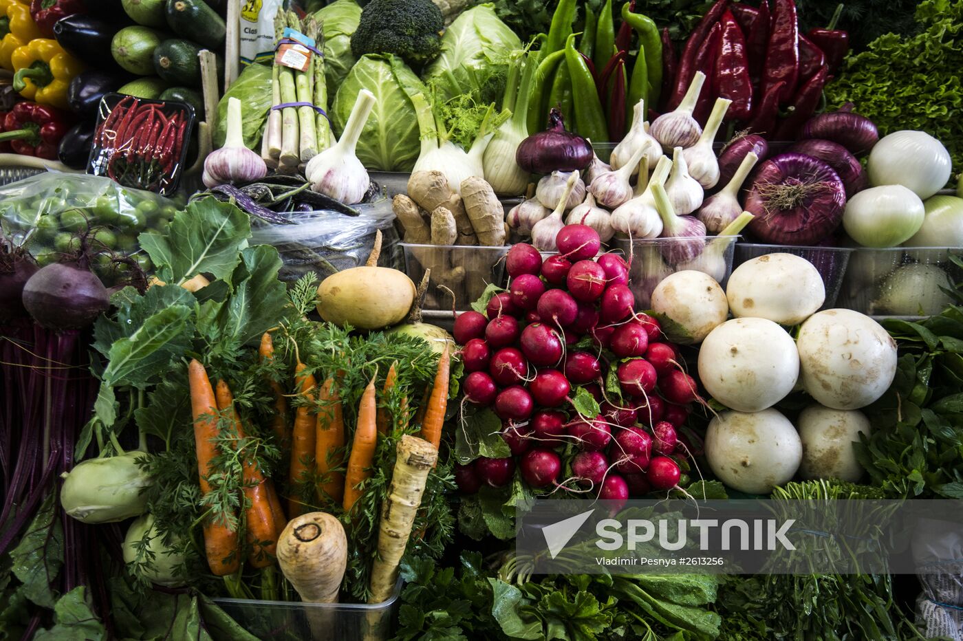Dorogomilovsky market in Moscow