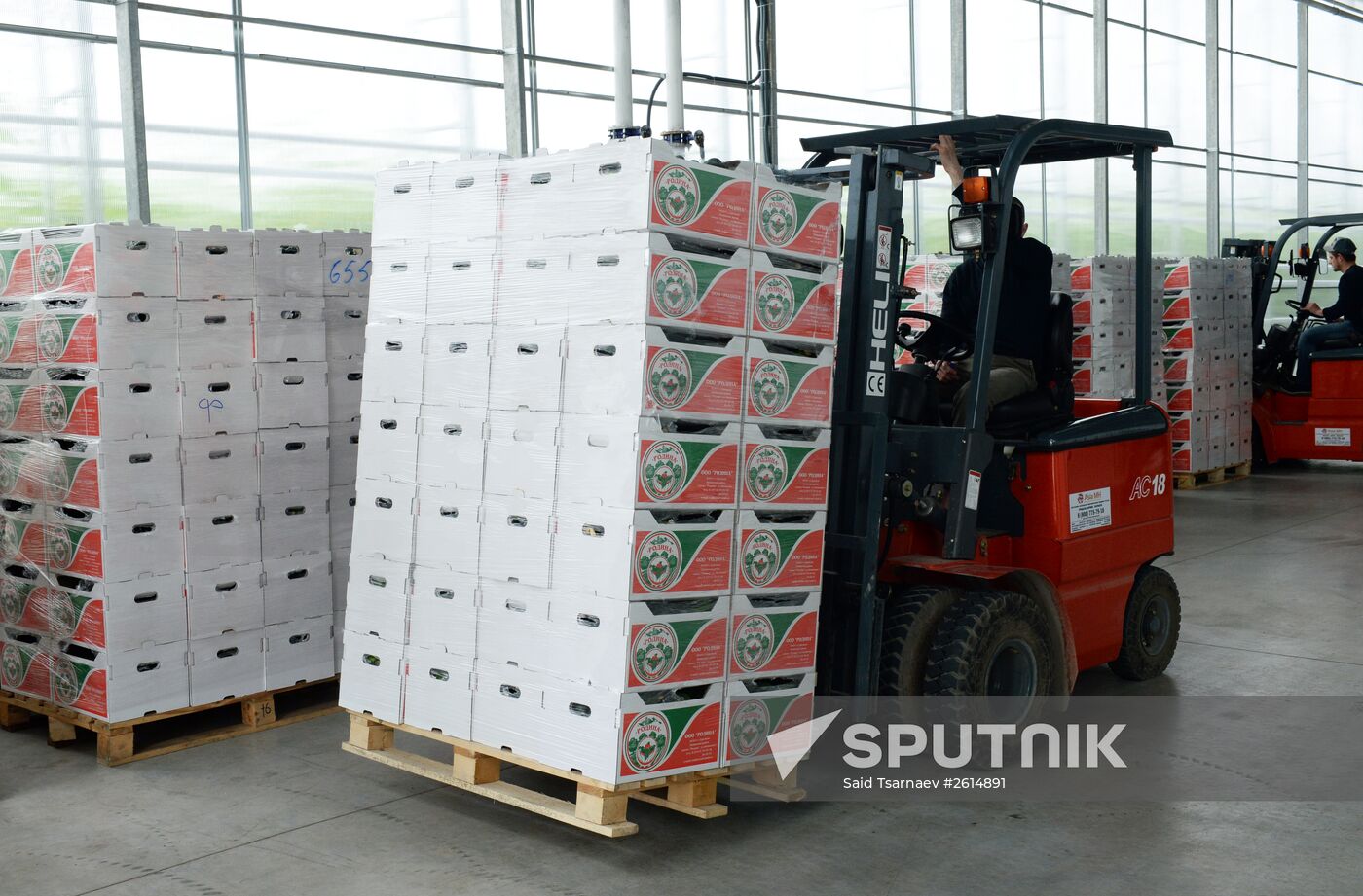 Greenhouse facility in Chechnya