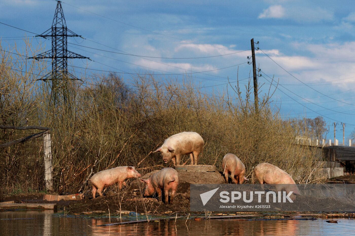 Flood in Altai Territory