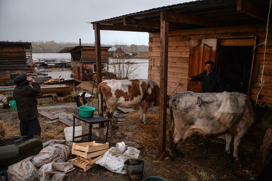 Flood in Altai Territory