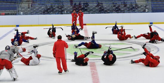 Russian national ice hockey team's training session