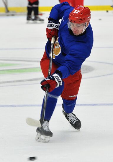 Russian national ice hockey team's training session