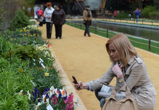 15th Spring Flower Festival