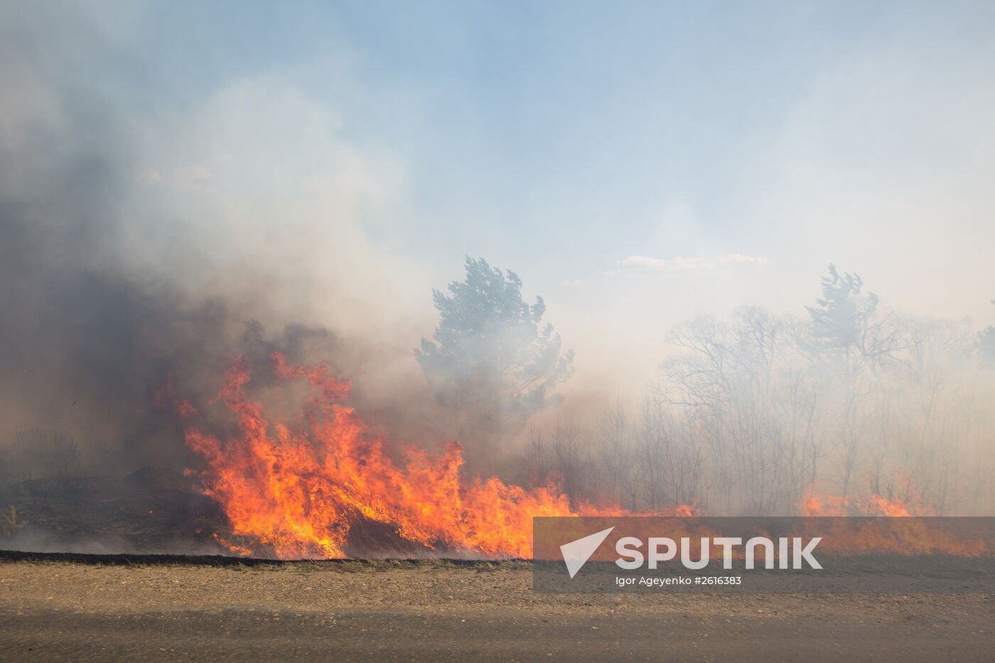 Wild fires in Amur Region