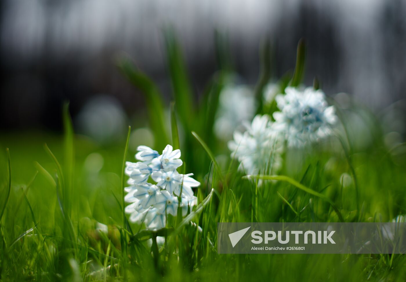 Summer Garden opens to visitors in St. Petersburg