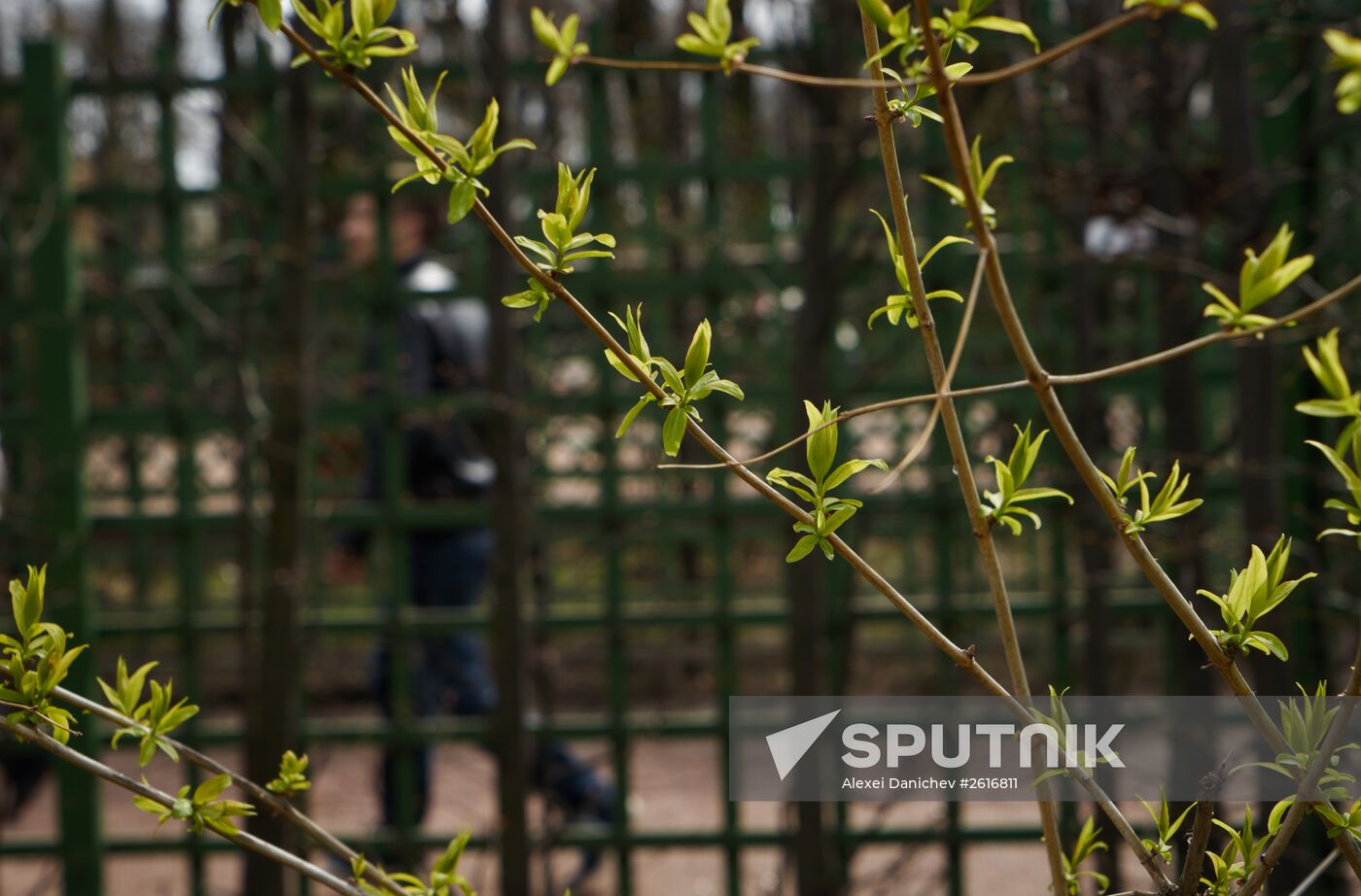 Summer Garden opens to visitors in St. Petersburg