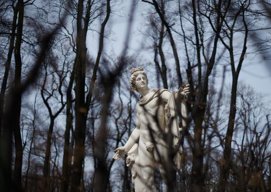 Summer Garden opens to visitors in St. Petersburg