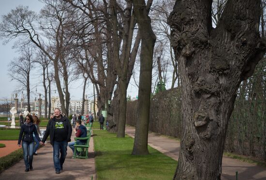 Summer Garden opens to visitors in St. Petersburg