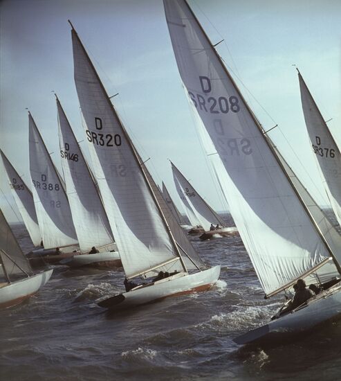 A regatta