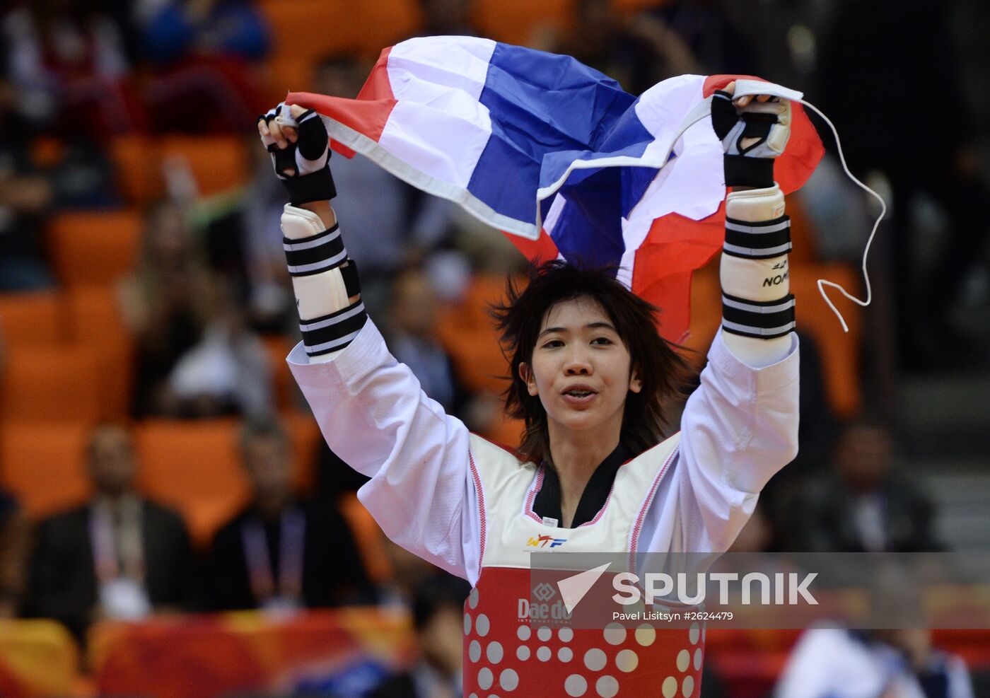 Worls Taekwondo Championships 2014. Day One