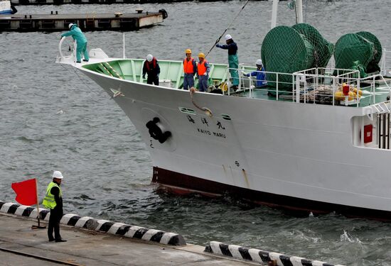 Japanese ship Kayo-Maru arrives in Vladivostok