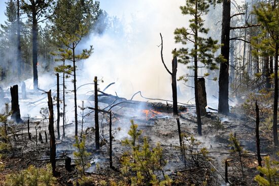 Wildfire fighting in Zabaikalsky Region