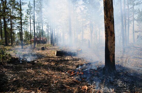 Wildfire fighting in Zabaikalsky Region