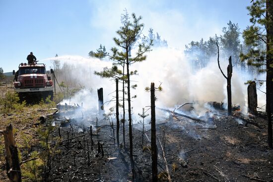 Wildfire fighting in Zabaikalsky Region